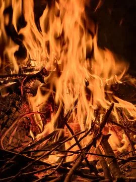 Raging orange flames of fire. Bright flames devour the wood. Stock Photos