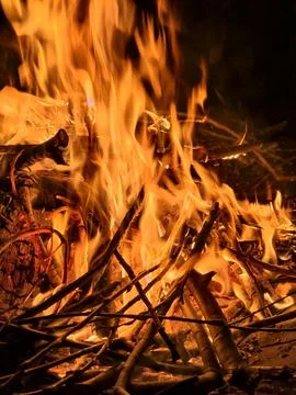 Raging orange flames of fire. Bright flames devour the wood. 写真素材