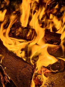 Raging orange flames of fire. Bright flames devour the wood. Fotos de archivo