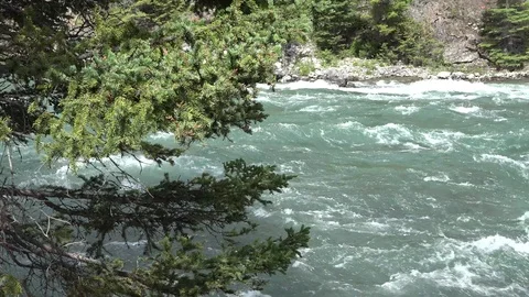 Raging Rapids on the River Stock Footage 114947286