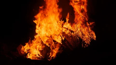 Raging red bonfire with flames dancing and glowing against black night Stock Footage 99895649