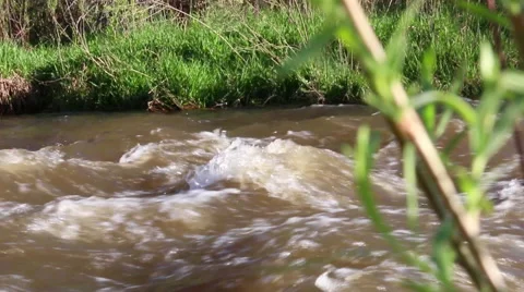 Raging River Video stock 40429508