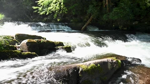 Raging River Stock Footage 137867590