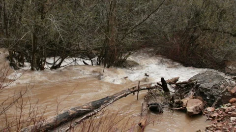 Raging River HD4967 Stock Footage 5163249