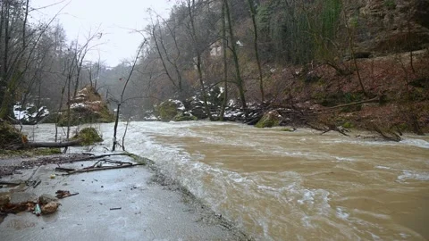 Raging river Kokra flowing in Alpine valley, Slovenia Stock Footage 144761014