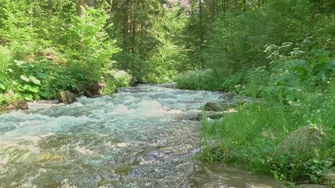 Raging river in mountain Stock Footage 111485463