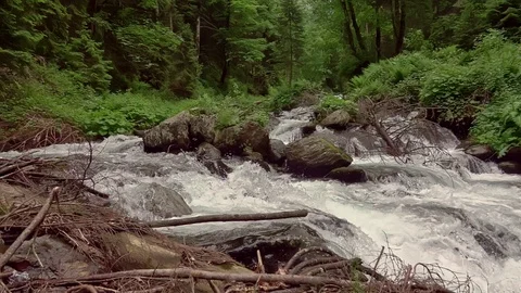 Raging river in mountain Stock Footage 111486356