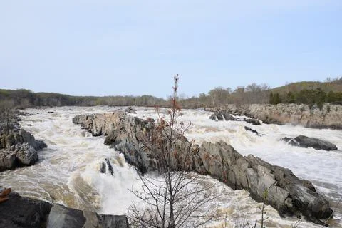 Raging river Stock Photos