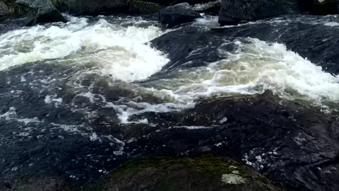 Raging stream of mountain river water Stock Footage 140142892