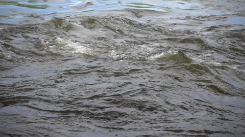Raging water current at river rapids, close up, slow motion 240 fps Video stock 99504104
