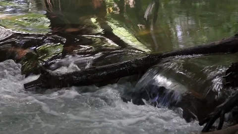 Raging water flow rushes through the woods along the rocks Stock Footage 77534009