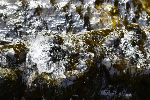 Raging water stream close up Stock Photos