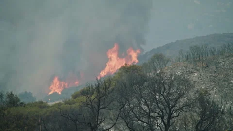 Raging wildfire burning uncontrollably on a hillside Видео 332959935