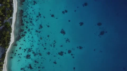 Ragiroa Lagoon Shore drone view Vídeo Stock 219413583