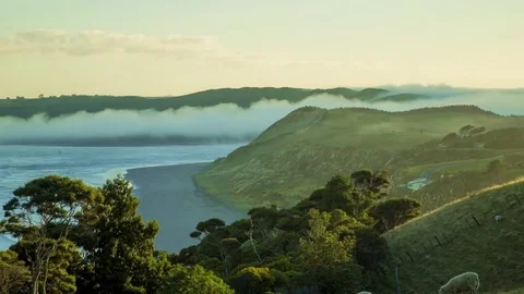 Raglan Dawn Time lapse - Misty Hills with Sheep Stock Footage 83958721