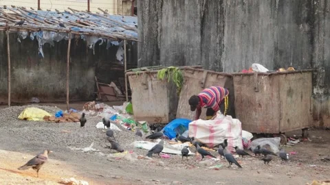 A ragpicker collecting plastic from trash can or garbage next to a road Stock Footage 277868391