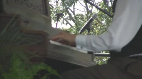 Ragtime Piano Player, Closeup of Hands Video stock 11378631
