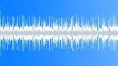 Ragtime Saloon Party - Piano Ragtime ( Loop ) Stock Music