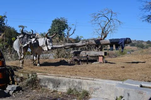 Rahat is a irrigation technology Foto stock