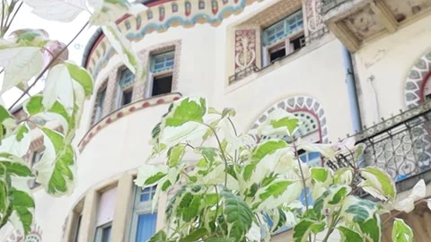 Raichle Palace Architecture Viewed Through Green Foliage Vidéo 331953937