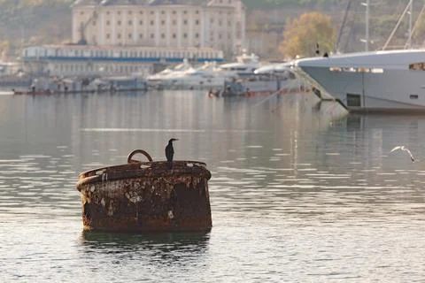 Raid barrel in the bay Stock Photos