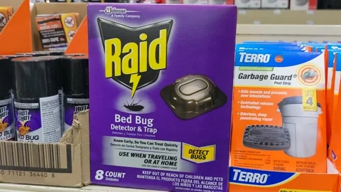 https://images.pond5.com/raid-bed-bug-traps-footage-157469515_iconl.jpeg