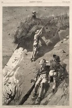 Raid on a Sand-Swallow Colony - "How Many Eggs?", 1874. Winslow Homer (Amer.. Stock Illustration