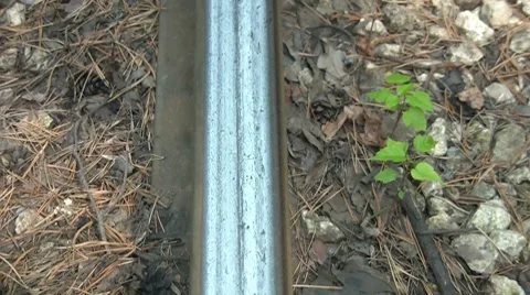 Rail Stock Footage 7759928