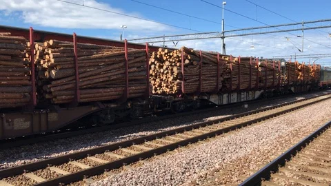Rail Freight Train Loaded with Cut Timber Stock Footage 91595758