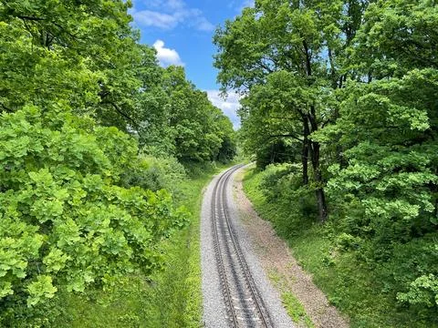 Rail track with many trees on the side Stock Photos