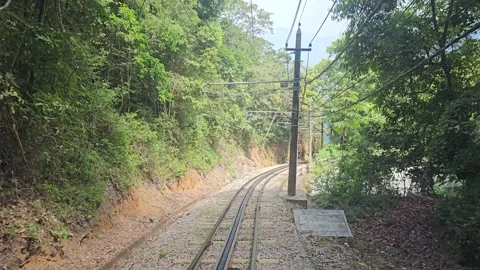 Rail Track Through Forest Cutting on Corcovado Train Ride, Brazil 8K Video stock 306480507