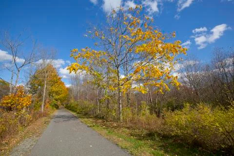 Rail trail Stock Photos