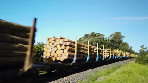 Rail wagons transporting  timber logs, Waiharara, Northland, New Zealand Stock Footage 142327220