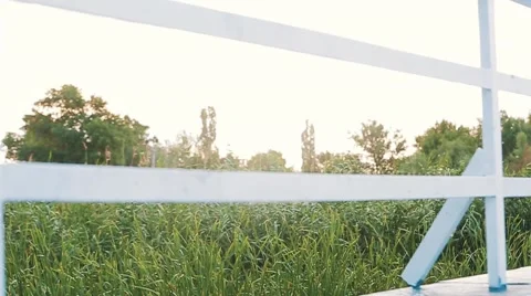 Railing and grass Video stock 46239086