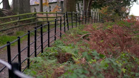RAILING COUNTRYSIDE PAN 4K Stock Footage 219944882