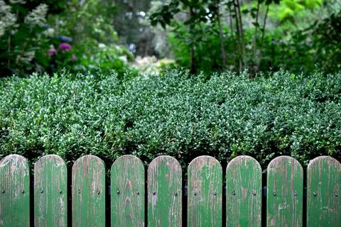 This railing needs new paint Stock Photos