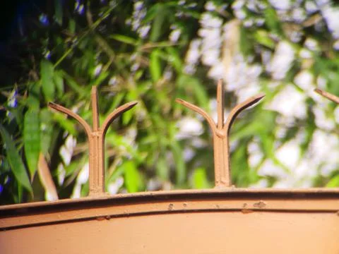 A railing or ledge with a serene tree background creates Stock-Fotos