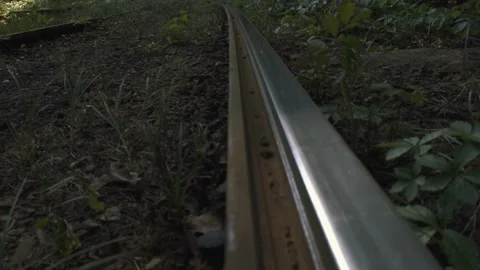 Railroad in an abandoned forest Stock Footage 136940718