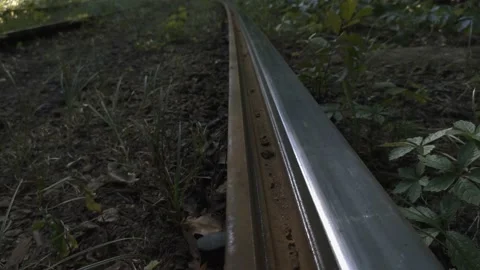 Railroad in an abandoned forest Stock Footage 136940737