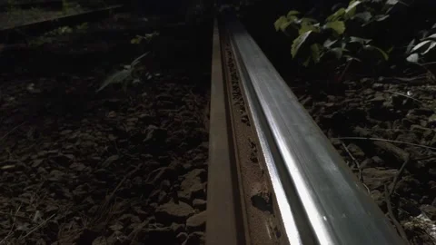 Railroad in an abandoned forest Stock Footage 136940804