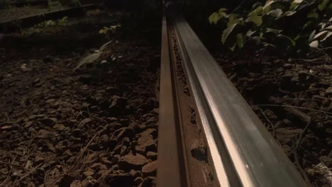 Railroad in an abandoned forest Stock Footage 136941487