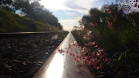 Railroad artistic perspective Stock Footage 154961751