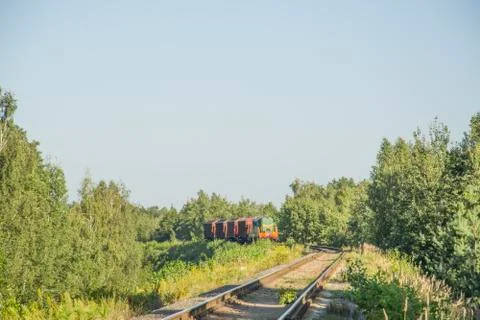 Railroad in the forest Foto stock