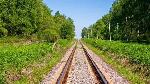 Railroad in the forest. 库存照片