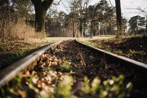Railroad in the forest in spring time Foto stock