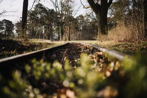 Railroad in the forest in spring time Foto stock