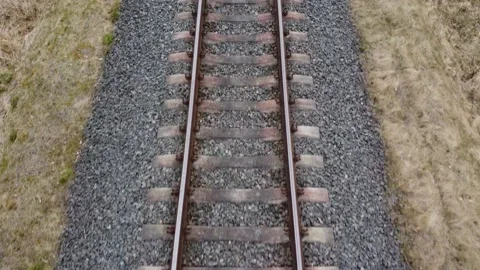 Railroad in the foreste Video stock 194492142