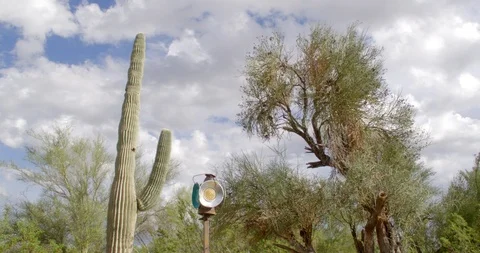Railroad lamp in the desert Stock Footage 101129018