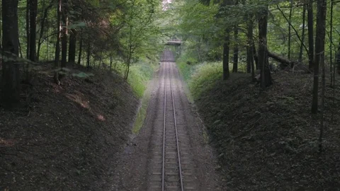Railroad in the middle of the forest 動画素材 84143757