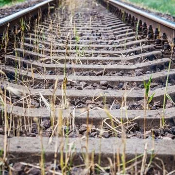 Railroad rails Stock Photos